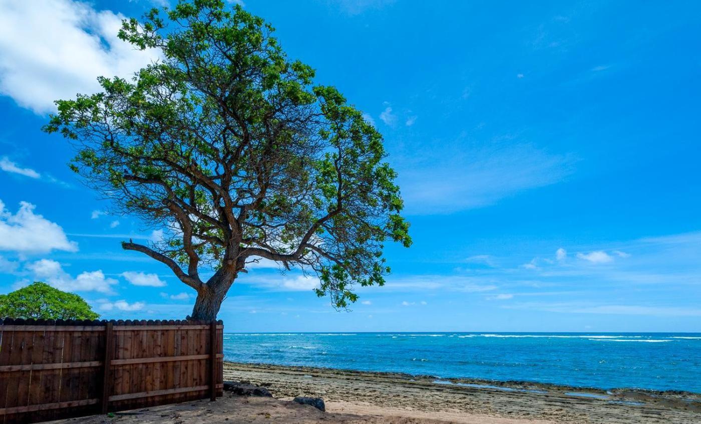 Kauai Kailani 218 Apartment คาปา ภายนอก รูปภาพ